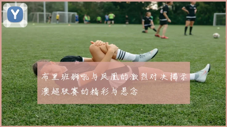 布里班狮吼与凤凰的激烈对决揭示澳超联赛的精彩与悬念