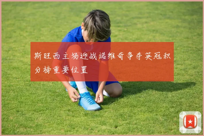 斯旺西主场迎战诺维奇争夺英冠积分榜重要位置